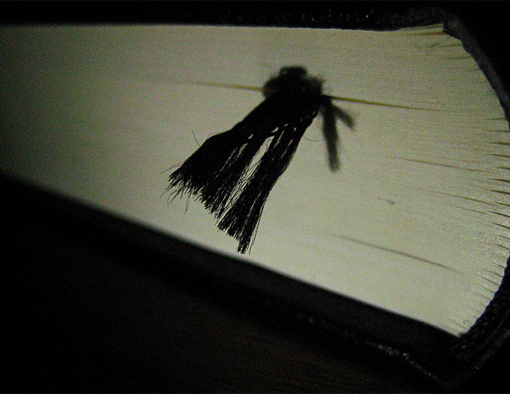 Gracias doctor 2 punto